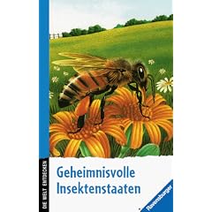 Bienen, Wespen, Ameisen - Geheimnisvolle Insektenstaaten