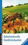 Bienen, Wespen, Ameisen - Geheimnisvolle Insektenstaaten