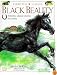 DK Classics: Black Beauty