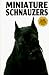   - Miniature Schnauzers