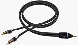 Monster Cable J2 DISC/WLK-3 Portable MiniDisc or CD Player to A/V Receiver Using Minijack to RCA (3 ft.)