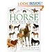 Ultimate Sticker Book: Horse