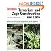 Terrarium and Cage Construction and Care