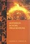 Motivation in Work Organizations (Jossey Bass Business and Management Series)