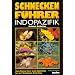 Die sch�nsten Muschelb�cher