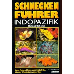 Schneckenf�hrer Indopazifik