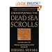 Understanding the Dead Sea Scrolls: A Reader From the Biblical Archaeology Review