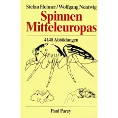 Spinnen Mitteleuropas