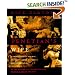 The Venetian's Wife