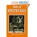Tales of Whitetails: Archibald Rutledge's Great Deer Hunting Stories