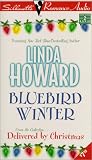 Review Brilliance Audio  / Bluebird Winter (Sarah)