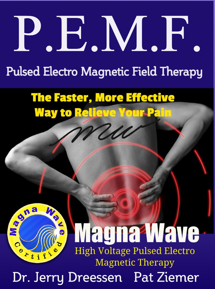 D-I-Y Magnetic Therapy: Build Your Own Magnetic Therapy Devices ...