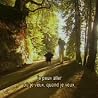Non-Stop Travels with Michel Petrucciani / Trio Live (DVD)