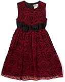 Penelope Mack Girls 2-6X Sheer Flocked Dress