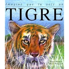 Imagine que tu sois un tigre