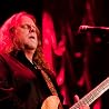 Abbildung von Warren Haynes