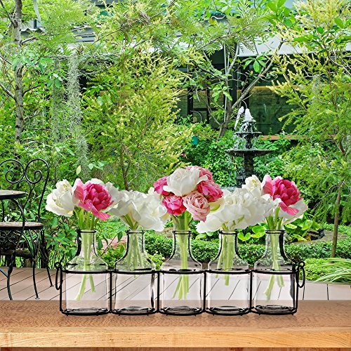 Set of 5 Clear Glass Mini Vases in Black Metal Rack, 5Inches