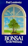 Bonsai d interieur