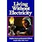 Top Ten Amish Books