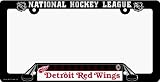 NHL Detroit Red Wings License Plate Frame