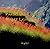 Paroles et Lumieres-Where Light Speaks: Haiti