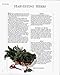 The Encyclopedia of Herbs, Spices, & Flavorings/a Cook's Compendium