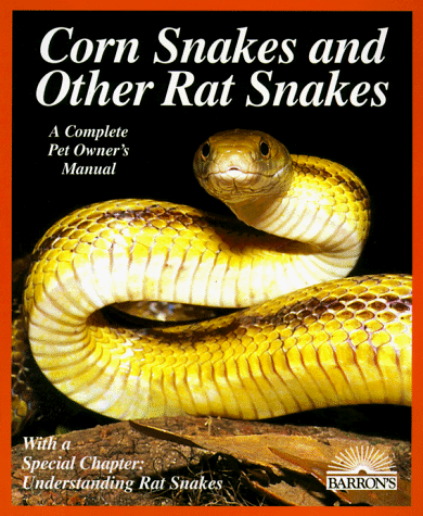 Corn Snakes and Rat Snakes (Complete Pet Owner's Manual)