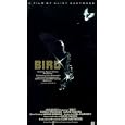 Buy Bird