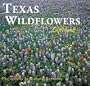 Texas Wildflowers (Texas Littlebooks)