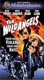 Wild Angels