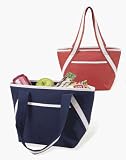 Picnic at Ascot 357R Small Insulated Tote in Red