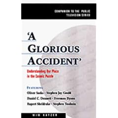 A Glorious Accident: Understanding Our Place in the Cosmic Puzzle
