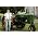 Thumbnail image of Seasick Steve