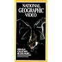 National Geographic's Strange Creatures of the Night [VHS]
