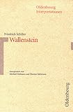 Oldenbourg Interpretationen, Bd.89, Wallenstein