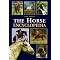 Get involved in the horse business?