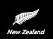 New Zealand Fern Flag Acrylic Keyring Key Ring 7.5 X 5cm