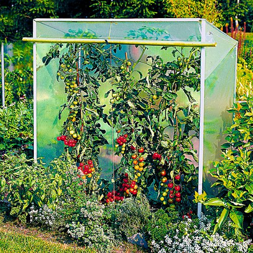 Beckmann TO Tomatenhaus Gr&ouml;&szlig;e 1 Preisvergleich