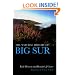 The Natural History of Big Sur (California Natural History Guides)