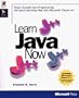 Learn Java Now, with CD-ROM