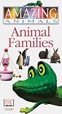 Amazing Animals Video: Animal Families