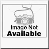 Bradshaw #20383 11 Sili Spatula Tool by BRADSHAW INTERNATIONAL
