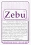 Zebu: The Hypnotic Language Card Game