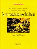 Neurowissenschaften: Eine Einführung