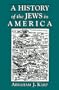 A History of Jews in America