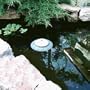 Thermo-Pond Perfect Climate Float Attachment