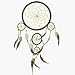 DreamCatcher~ DreamCatcher Feathers~ Approx 8.5" Diameter 18" long