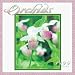 Book Orchids