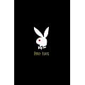 Playboy: 40 Years