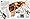 Poisonous Animals (Inside Guides)